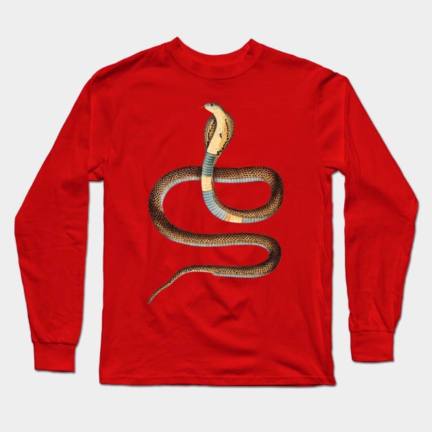 serpent,cobra,reptile,viper,venom,lizard,rattlesnake,king cobra,dragon,hydra,poison,venomous,plumber's snake,pythonidae,pythons,auger,python,squamata,serpentine,worm,big,ophidian,rattlesnakes,medusa,snakebite Long Sleeve T-Shirt by vabontchi